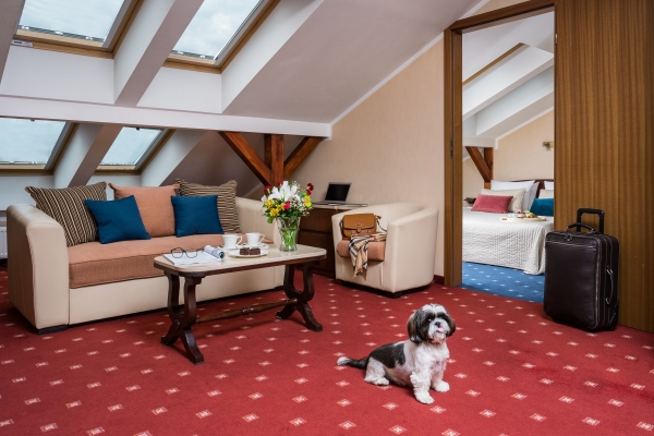 Crown Piast Hotel & Park (Krakau)